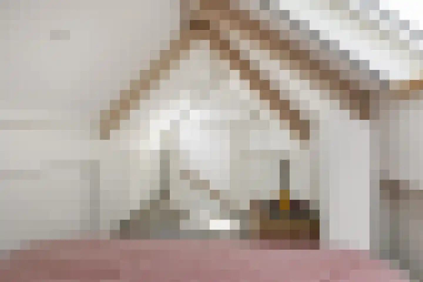 Achterstraat 3 's-Hertogenbosch thumbnail 22
