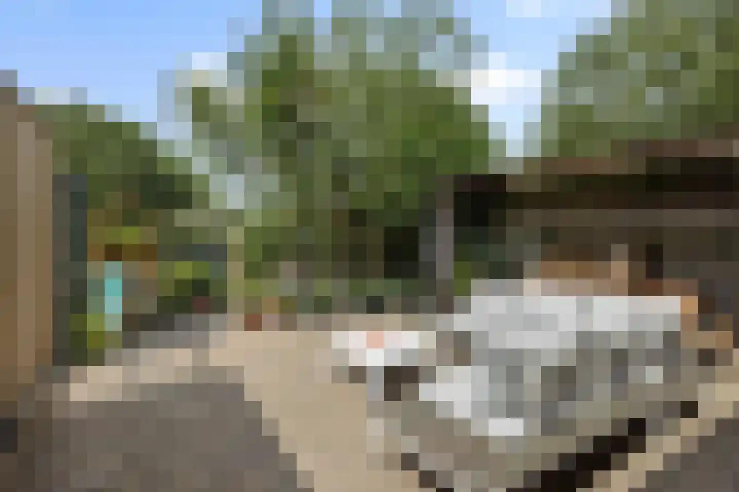 Achterstraat 3 's-Hertogenbosch thumbnail 23