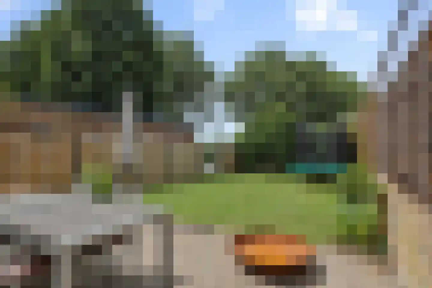 Achterstraat 3 's-Hertogenbosch thumbnail 26