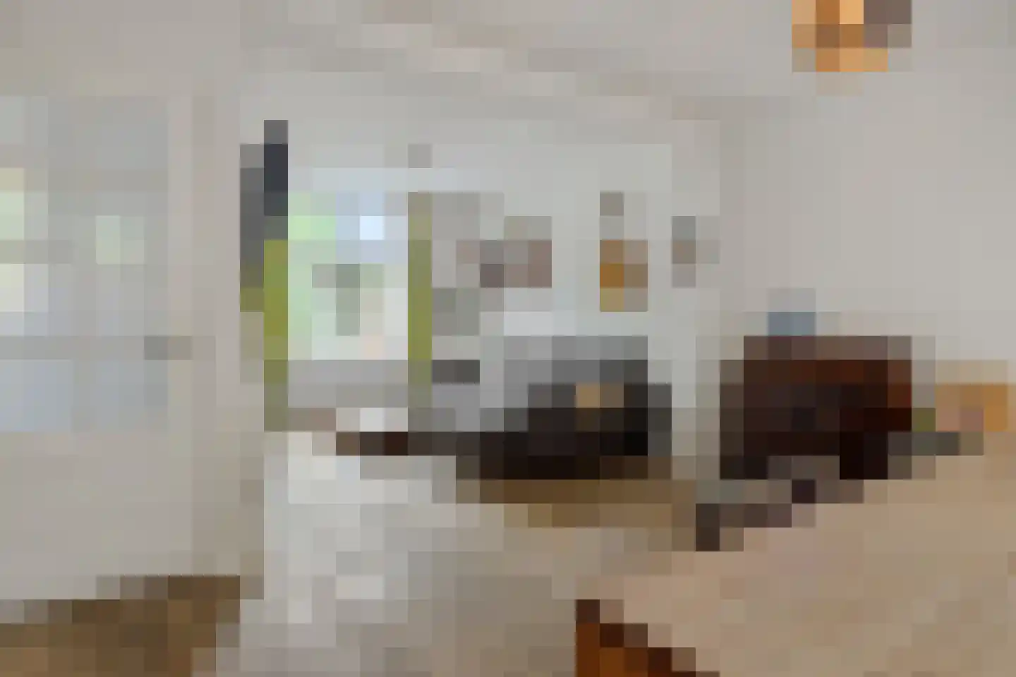 Achterstraat 3 's-Hertogenbosch thumbnail 5