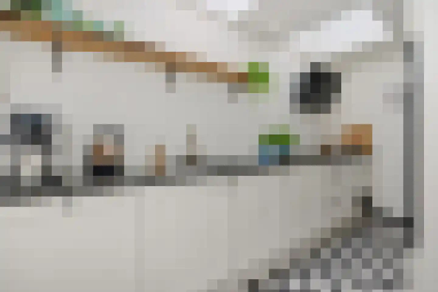 Achterstraat 3 's-Hertogenbosch thumbnail 9
