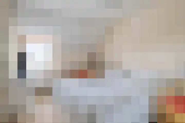 Achterstraat 33 Heteren thumbnail 22