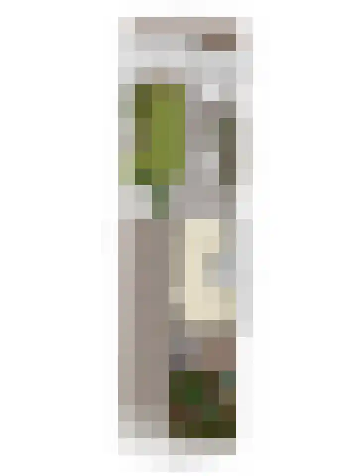 Achterstraat 33 Heteren thumbnail 38