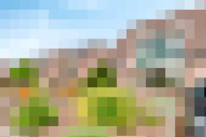 Achterstraat 33 Heteren thumbnail 7