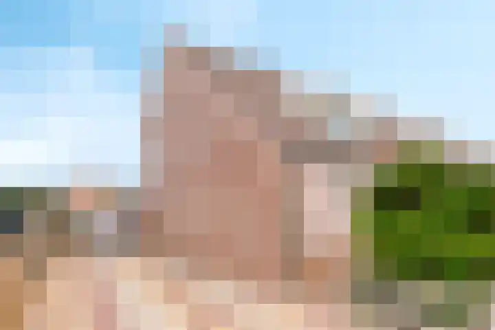 Achterstraat 33 Heteren thumbnail 9
