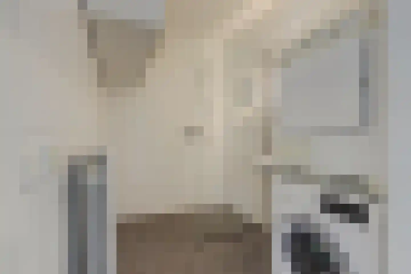 Achterstraat 38 Spijkenisse thumbnail 18