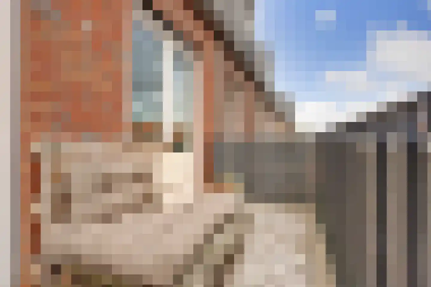Achterstraat 38 Spijkenisse thumbnail 22