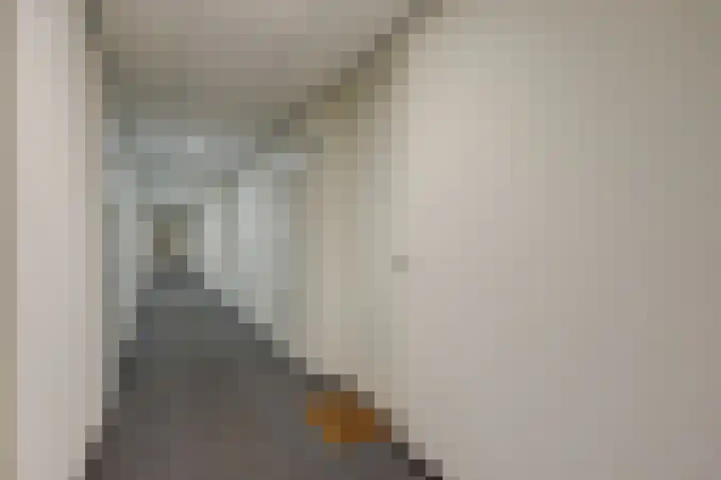 Achterstraat 38 Spijkenisse thumbnail 24