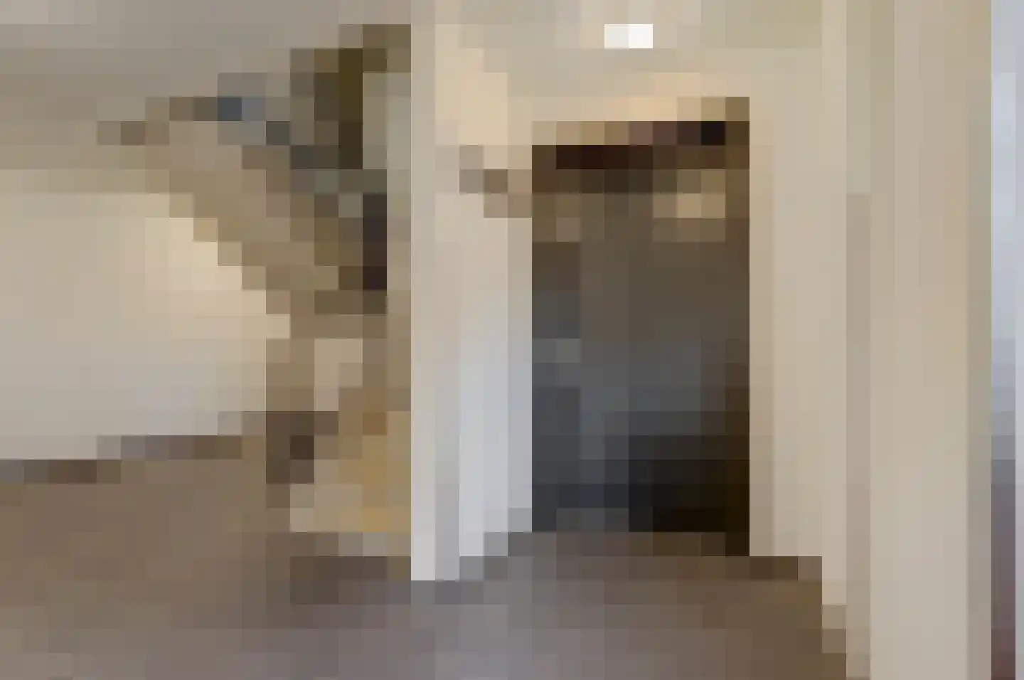 Achterstraat 38 Spijkenisse thumbnail 25