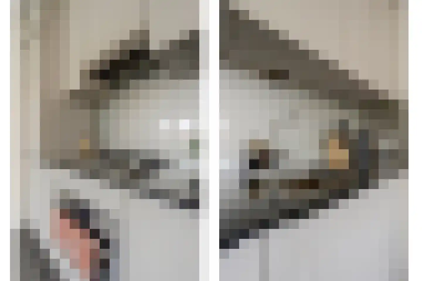 Achterstraat 38 Spijkenisse thumbnail 4