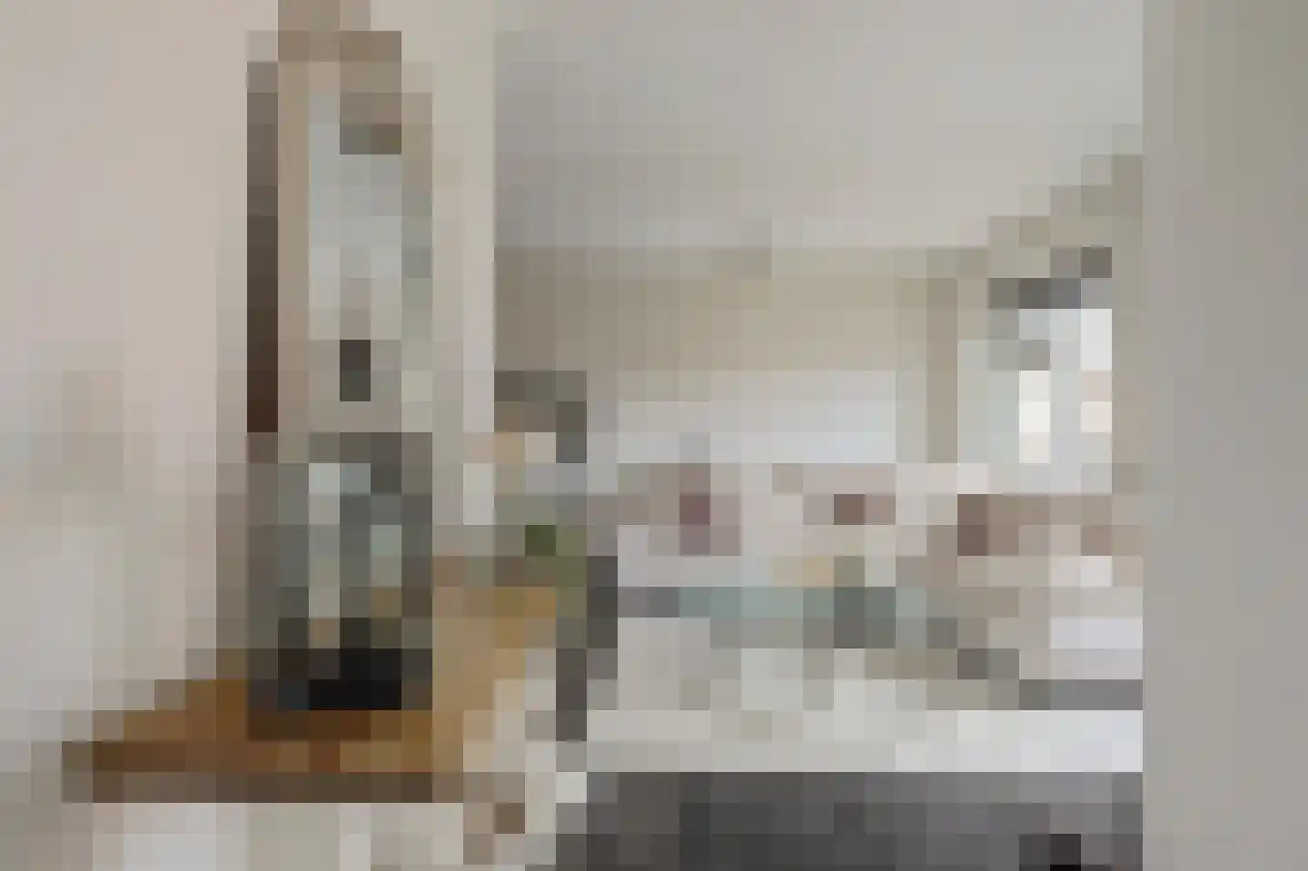 Achterstraat 38 Spijkenisse thumbnail 5