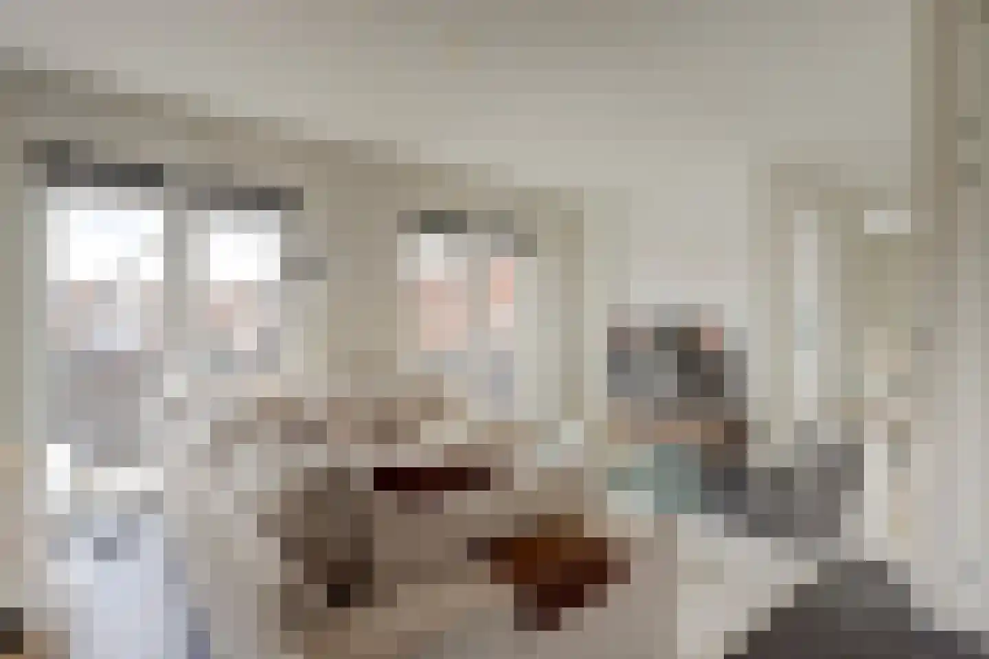 Achterstraat 38 Spijkenisse thumbnail 6