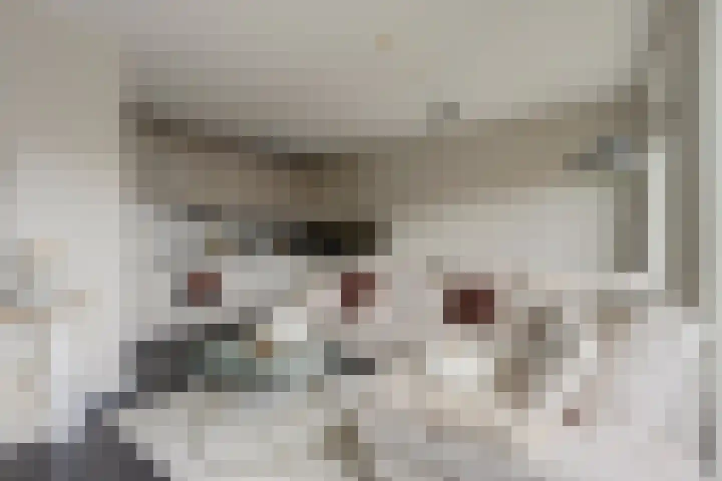 Achterstraat 38 Spijkenisse thumbnail 7