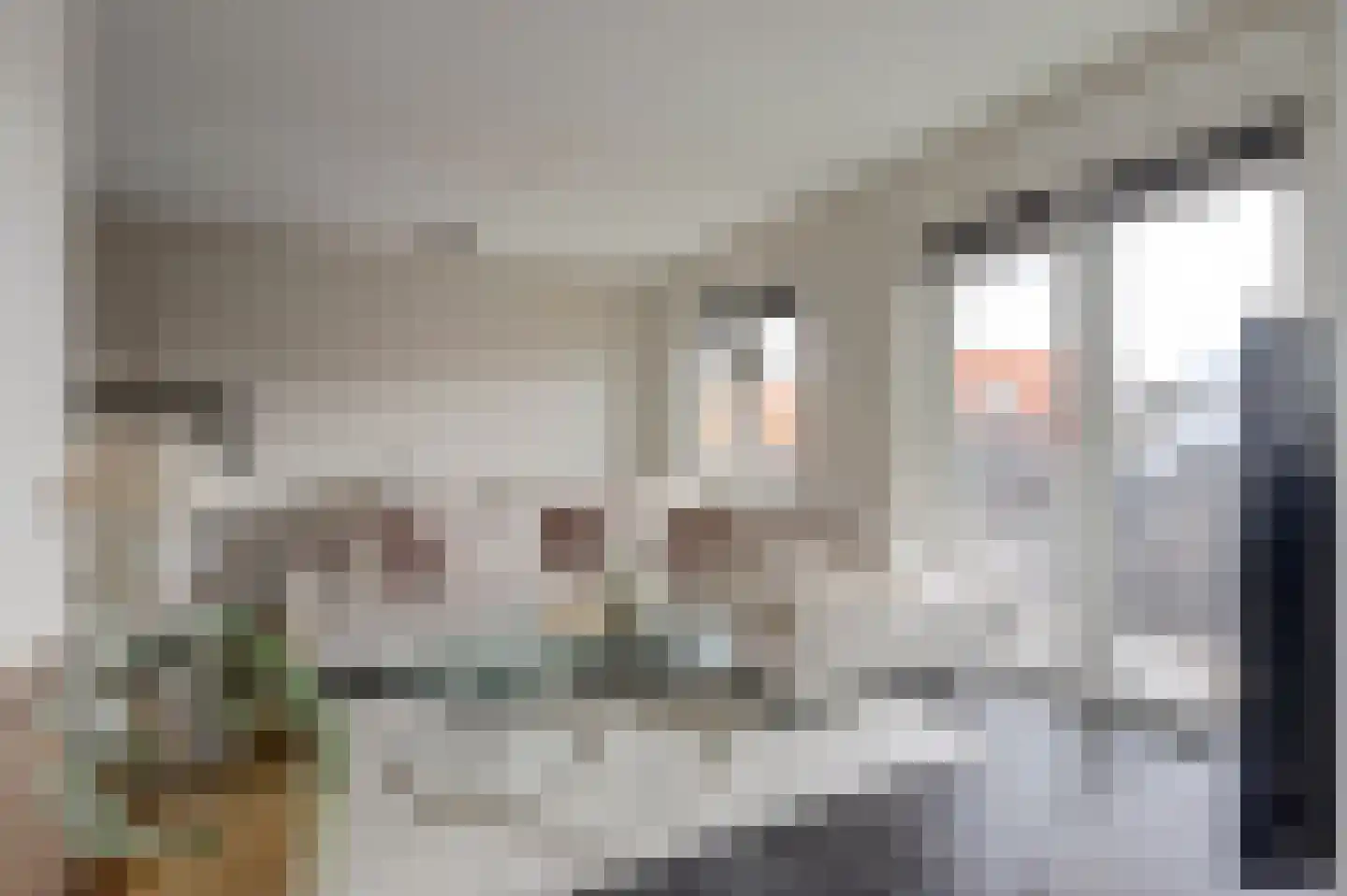 Achterstraat 38 Spijkenisse thumbnail 8