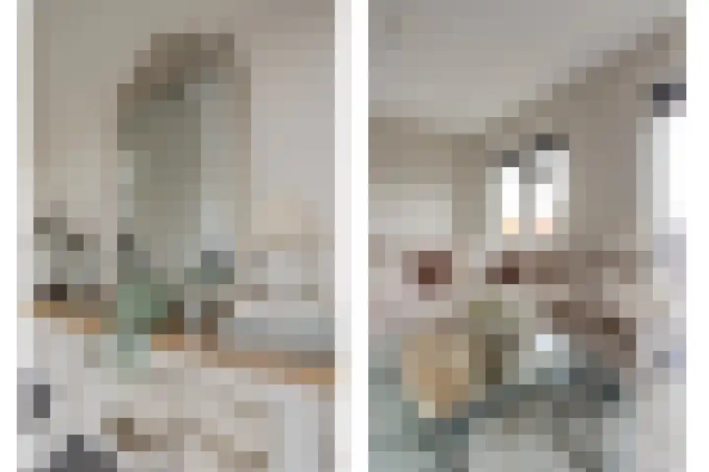 Achterstraat 38 Spijkenisse thumbnail 9