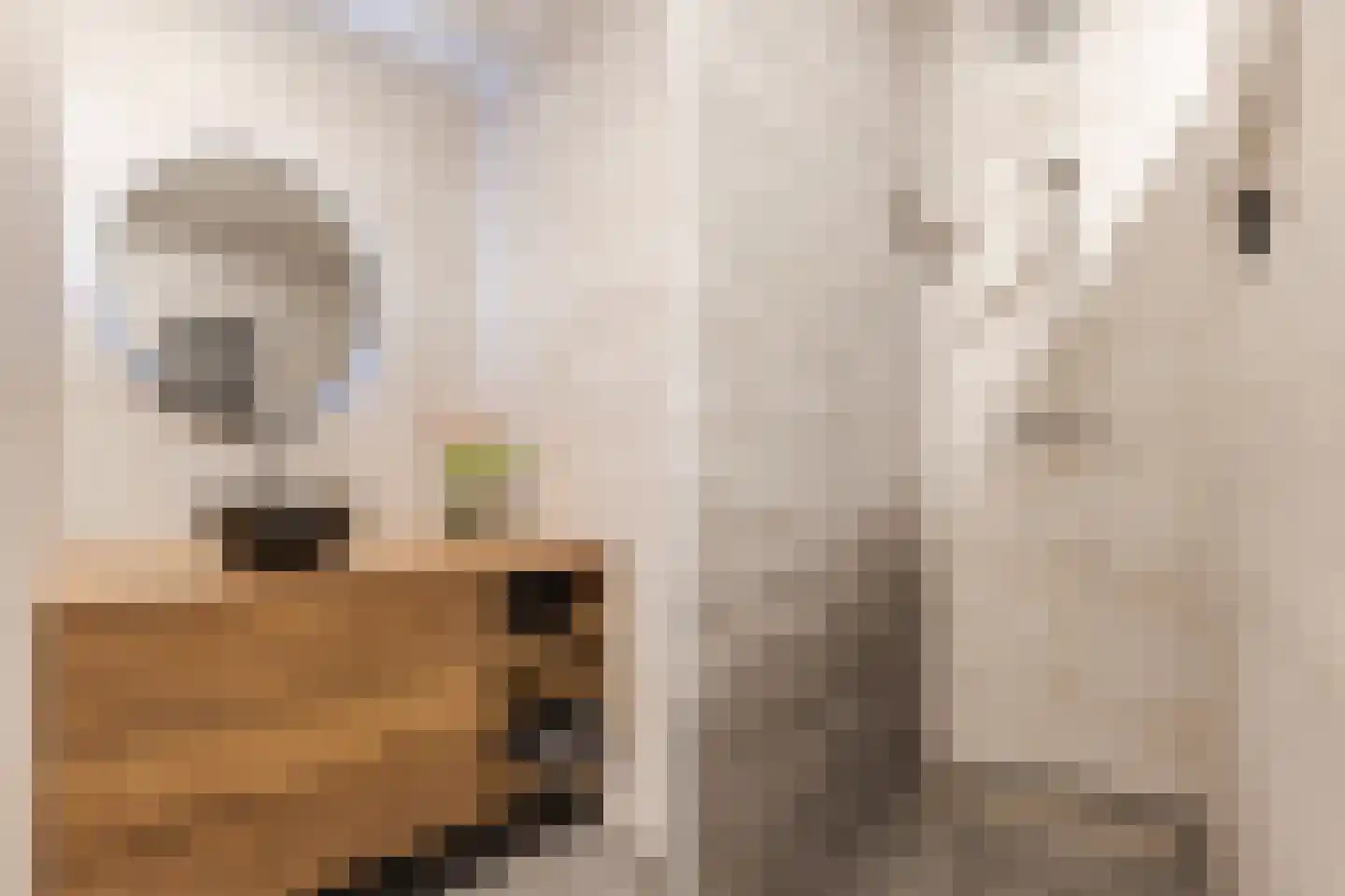 Achterstraat 39 Drunen thumbnail 17