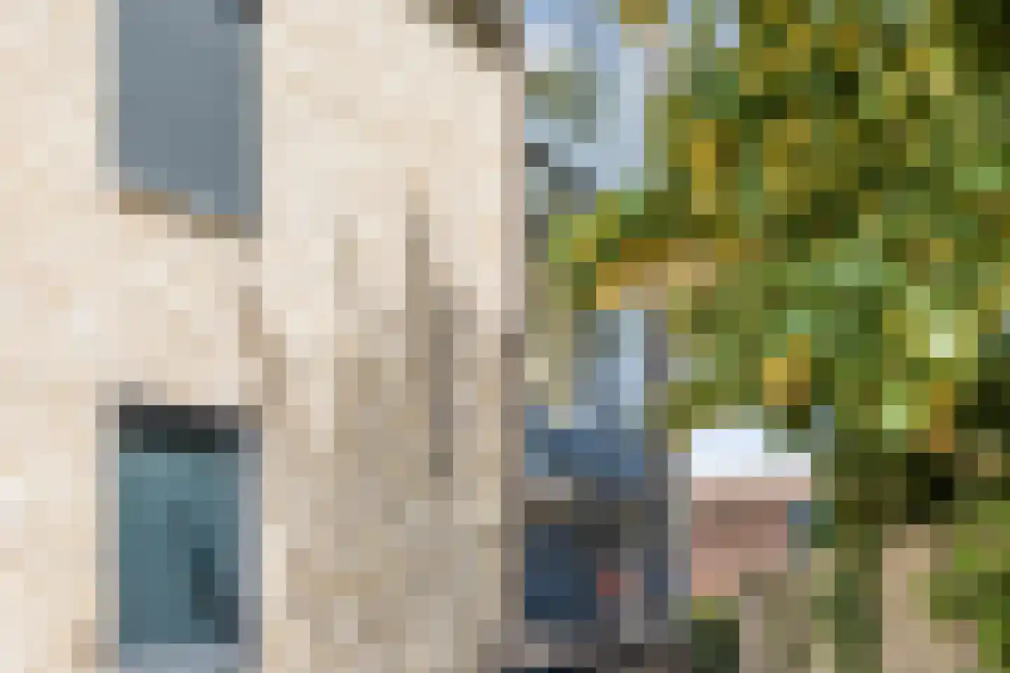 Achterstraat 39 Drunen thumbnail 38