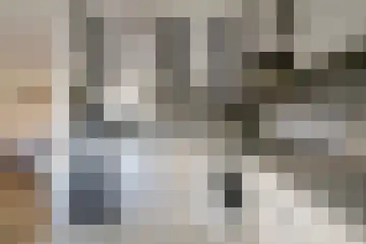 Achterstraat 4 Bad Nieuweschans thumbnail 10