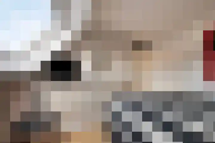 Achterstraat 4 Bad Nieuweschans thumbnail 15