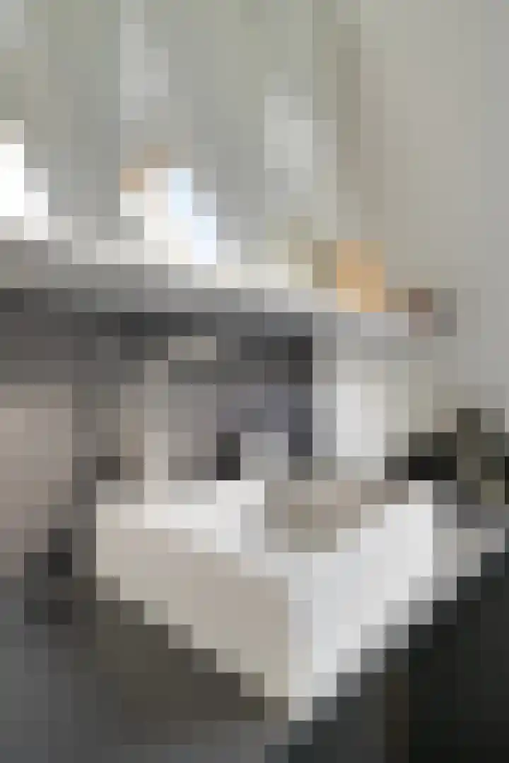 Achterstraat 4 Bad Nieuweschans thumbnail 18