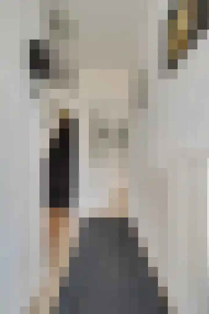 Achterstraat 4 Bad Nieuweschans thumbnail 22