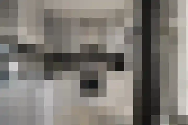 Achterstraat 4 Bad Nieuweschans thumbnail 8