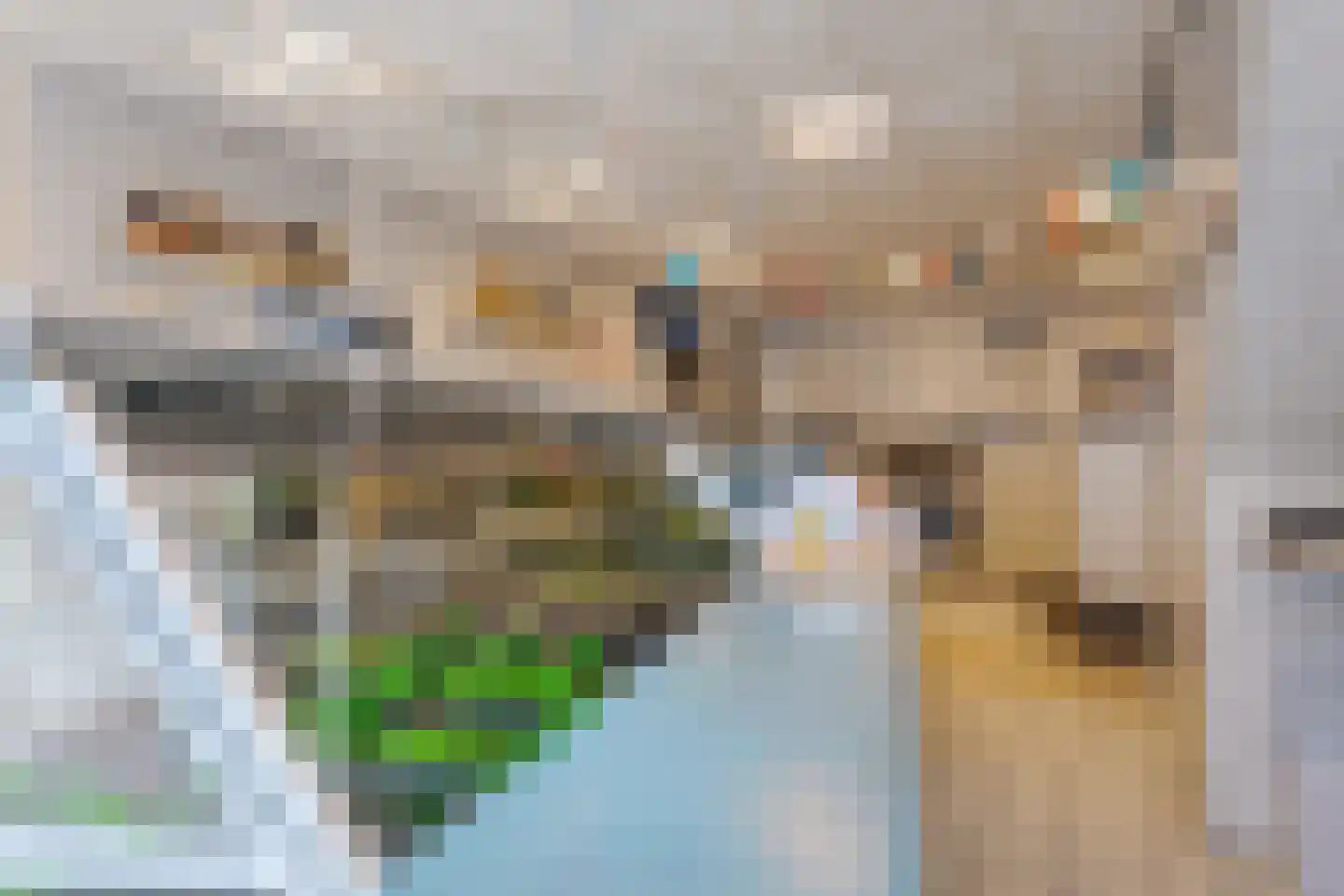 Achterstraat 4 Hattem thumbnail 11