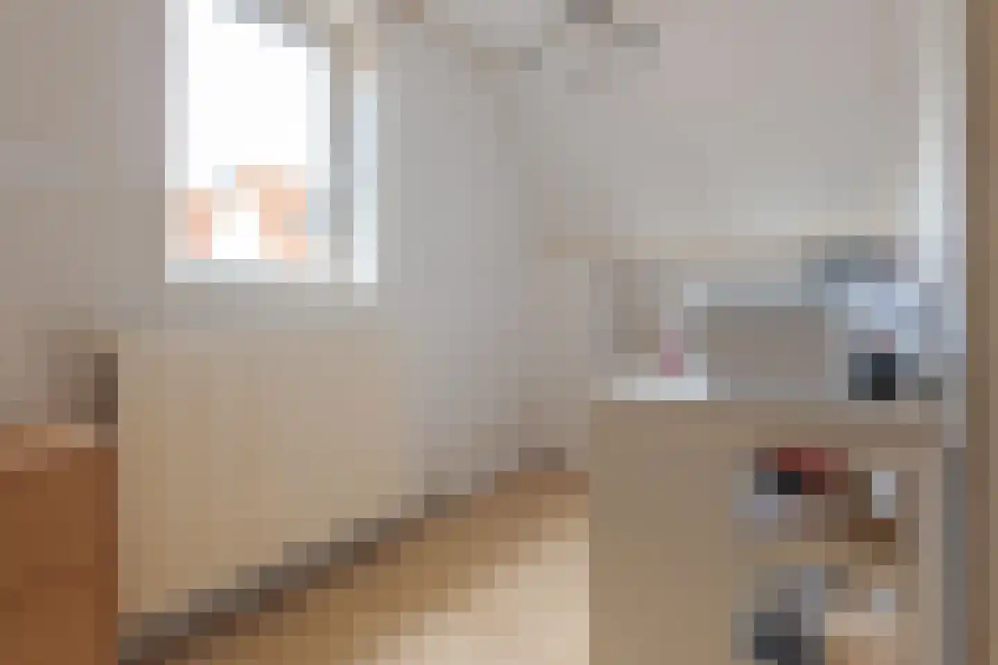 Achterstraat 4 Hattem thumbnail 36