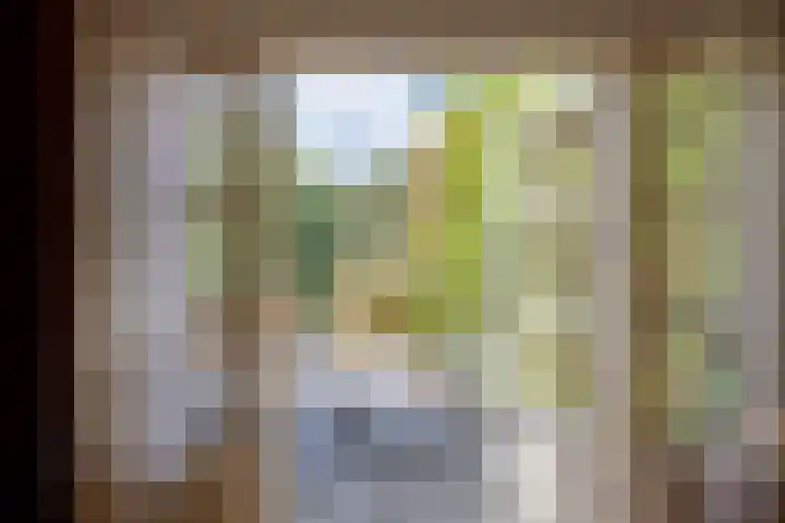 Achterstraat 4 Helvoirt thumbnail 10