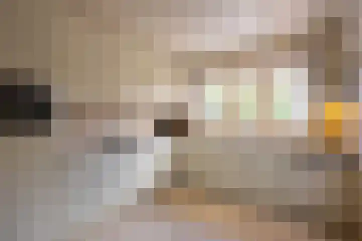 Achterstraat 4 Helvoirt thumbnail 11