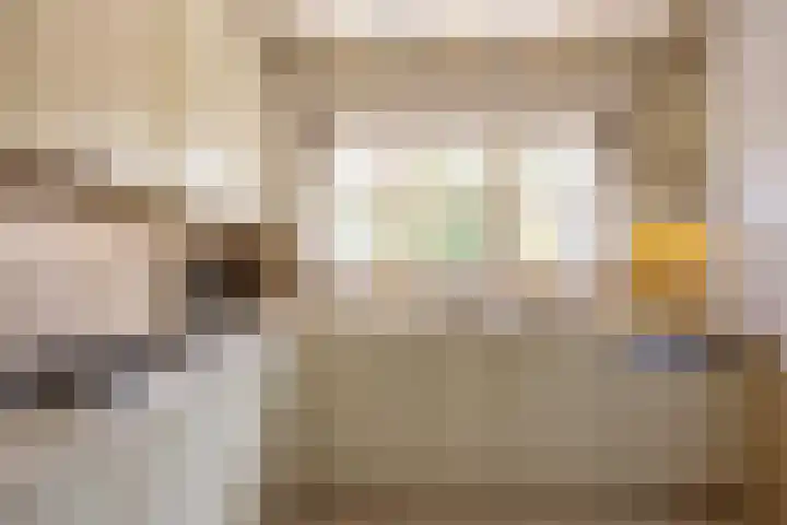 Achterstraat 4 Helvoirt thumbnail 12