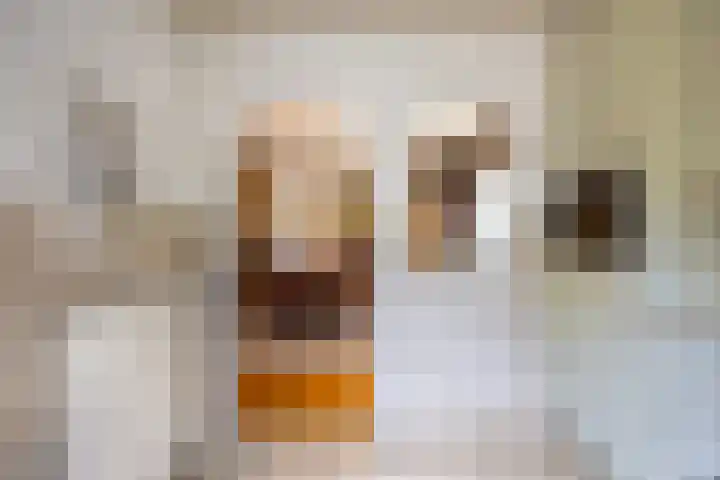 Achterstraat 4 Helvoirt thumbnail 13