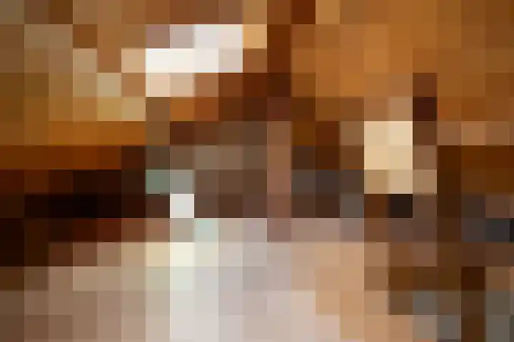 Achterstraat 4 Helvoirt thumbnail 20