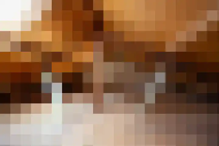 Achterstraat 4 Helvoirt thumbnail 21