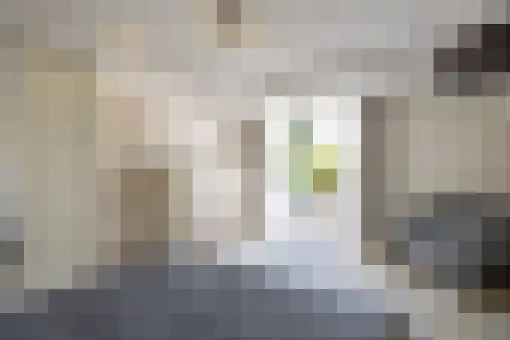 Achterstraat 4 Helvoirt thumbnail 22