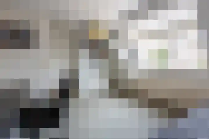 Achterstraat 4 Helvoirt thumbnail 24