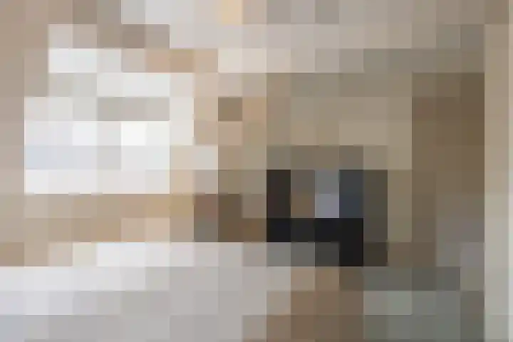 Achterstraat 4 Helvoirt thumbnail 27
