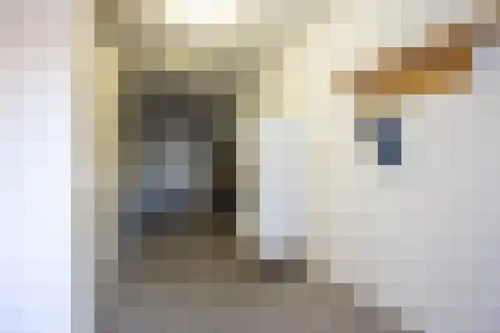 Achterstraat 4 Helvoirt thumbnail 31