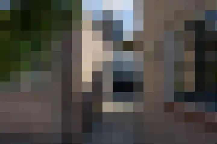 Achterstraat 4 Helvoirt thumbnail 33