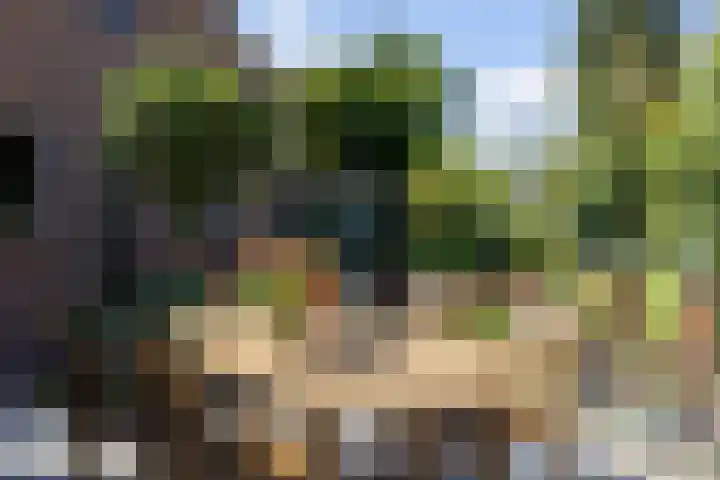 Achterstraat 4 Helvoirt thumbnail 35