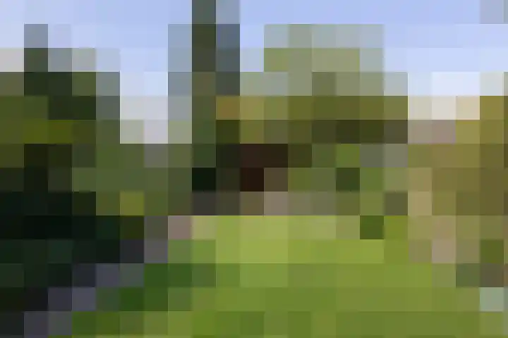 Achterstraat 4 Helvoirt thumbnail 36