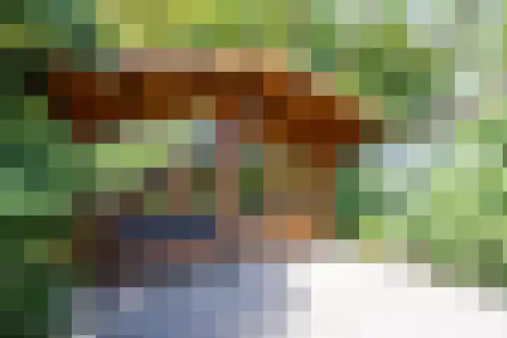 Achterstraat 4 Helvoirt thumbnail 38