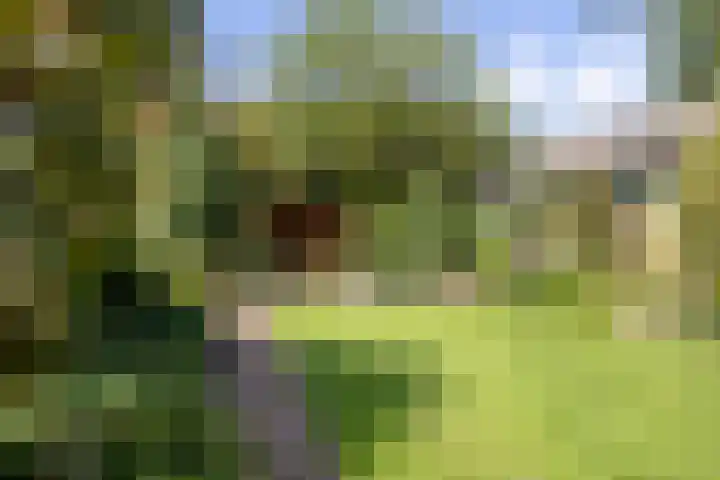 Achterstraat 4 Helvoirt thumbnail 39