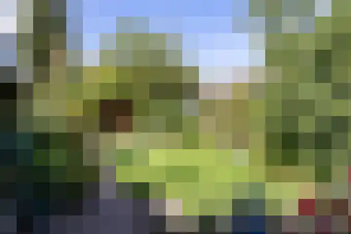Achterstraat 4 Helvoirt thumbnail 40