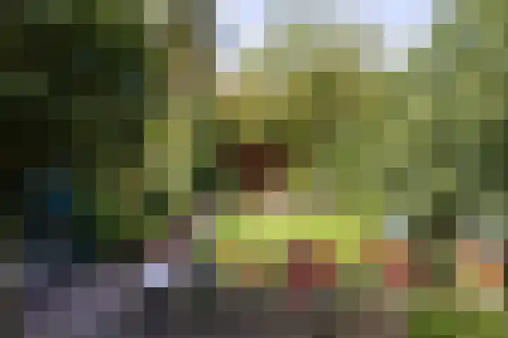Achterstraat 4 Helvoirt thumbnail 41
