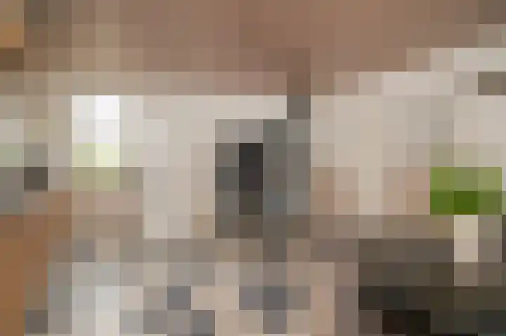 Achterstraat 4 Ommeren thumbnail 10