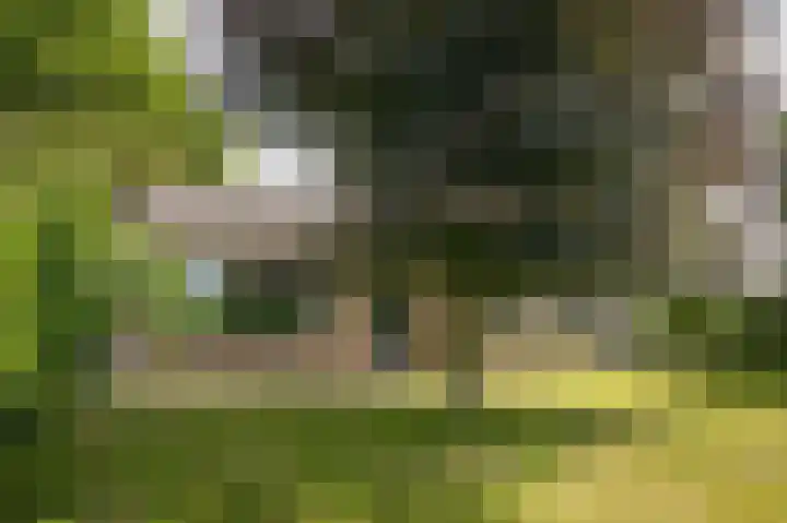 Achterstraat 4 Ommeren thumbnail 33