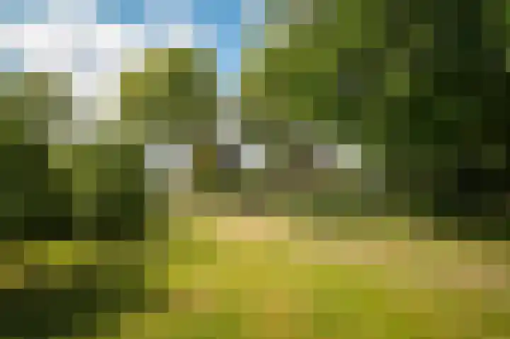 Achterstraat 4 Ommeren thumbnail 35