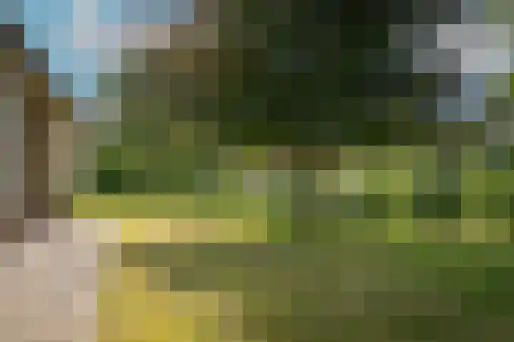 Achterstraat 4 Ommeren thumbnail 6