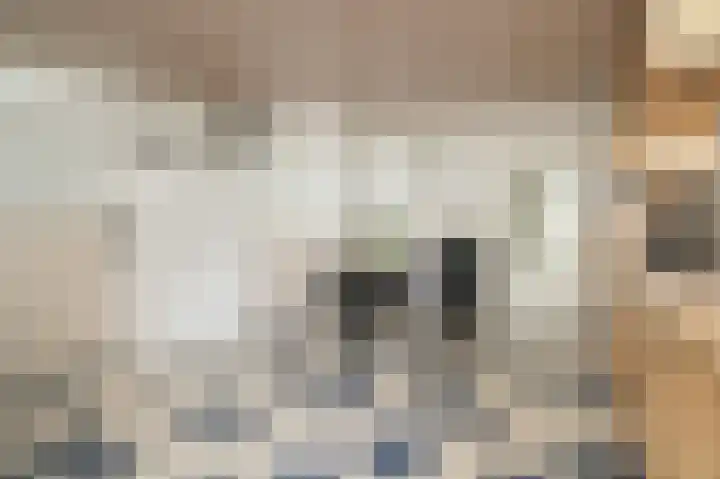 Achterstraat 4 Ommeren thumbnail 9